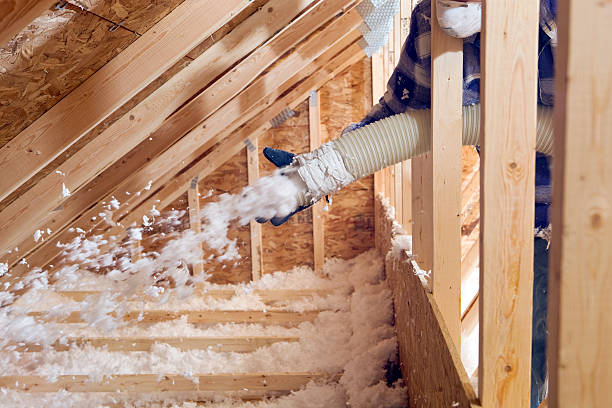 Best Commercial Insulation Services  in Ack, NY